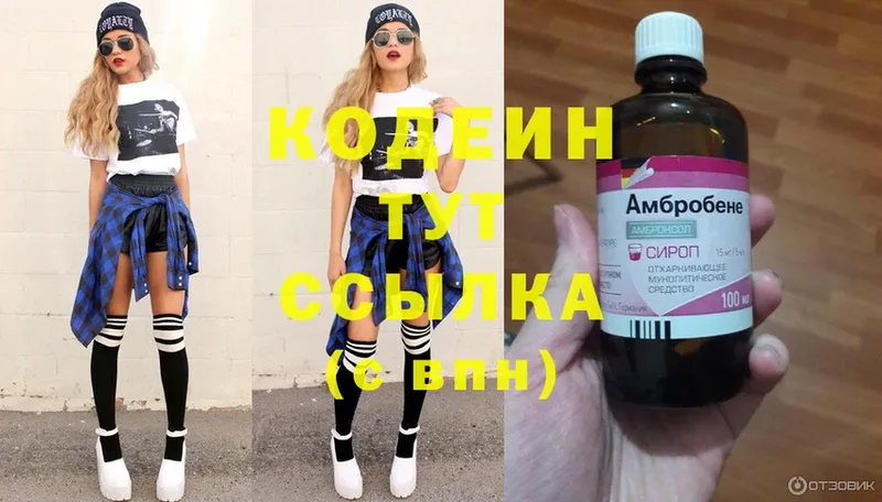 купить наркотики цена  Щёкино  Кодеин Purple Drank 